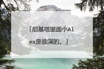 尼基塔里面小Alex是谁演的。