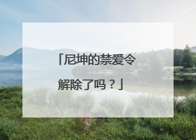 尼坤的禁爱令解除了吗？