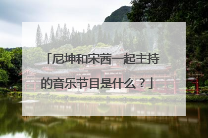 尼坤和宋茜一起主持的音乐节目是什么?