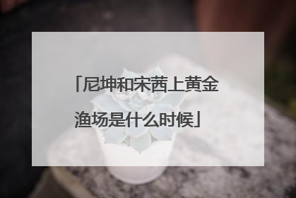 尼坤和宋茜上黄金渔场是什么时候