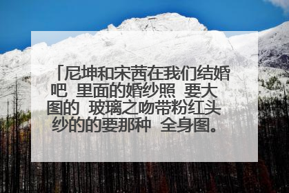 尼坤和宋茜在我们结婚吧 里面的婚纱照 要大图的 玻璃之吻带粉红头纱的的要那种 全身图。。真的很想要