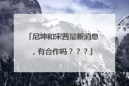 尼坤和宋茜最新消息,有合作吗???