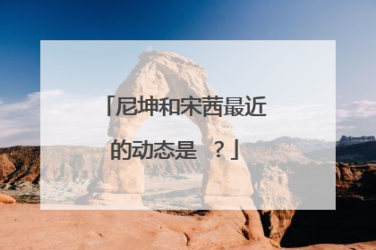 尼坤和宋茜最近的动态是 ?