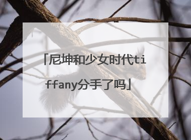 尼坤和少女时代tiffany分手了吗