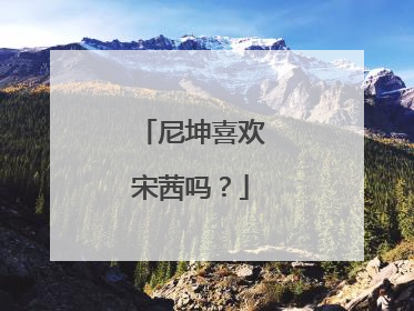 尼坤喜欢宋茜吗?