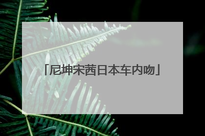 尼坤宋茜日本车内吻