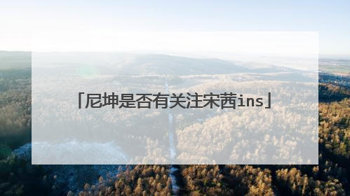 尼坤是否有关注宋茜ins