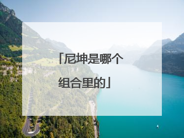 尼坤是哪个组合里的