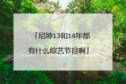 尼坤13和14年都有什么综艺节目啊