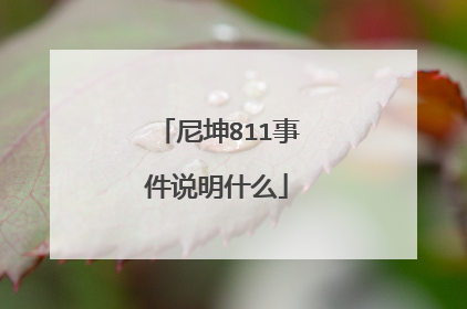 尼坤811事件说明什么