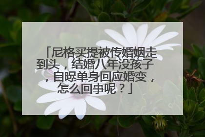 尼格买提被传婚姻走到头,结婚八年没孩子,自曝单身回应婚变,怎么回事呢?