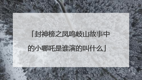 封神榜之凤鸣岐山故事中的小哪吒是谁演的叫什么