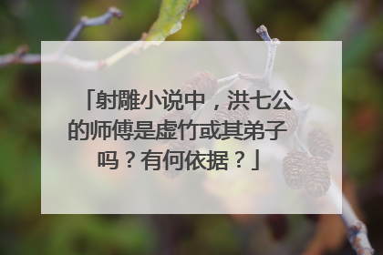 射雕小说中，洪七公的师傅是虚竹或其弟子吗？有何依据？