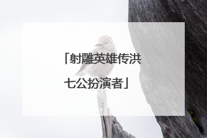 射雕英雄传洪七公扮演者