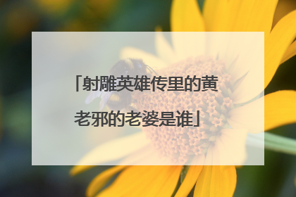射雕英雄传里的黄老邪的老婆是谁