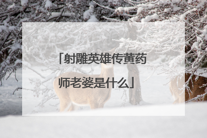 射雕英雄传黄药师老婆是什么