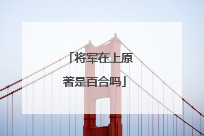 将军在上原著是百合吗