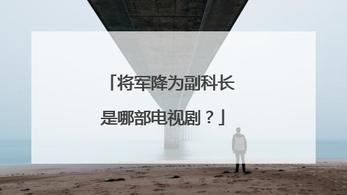 将军降为副科长是哪部电视剧？