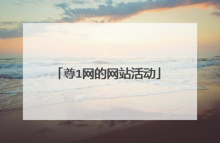 尊1网的网站活动