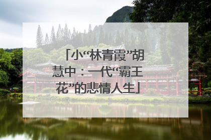 小“林青霞”胡慧中：一代“霸王花”的悲情人生