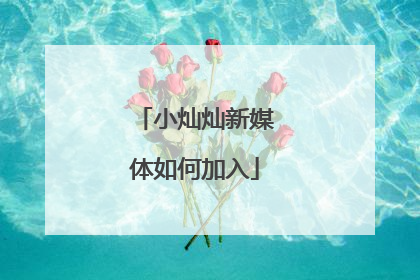 小灿灿新媒体如何加入