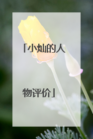 小灿的人物评价