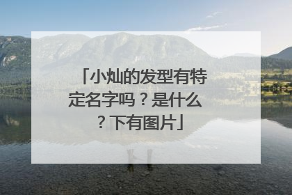 小灿的发型有特定名字吗?是什么?下有图片
