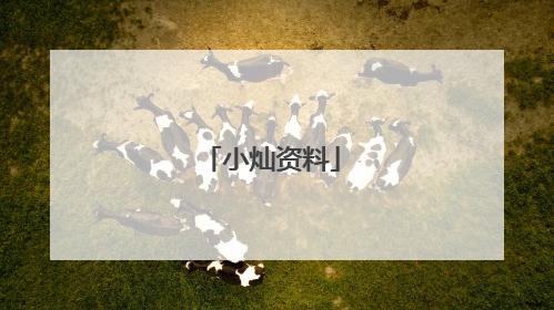 小灿资料