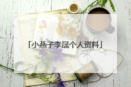 小燕子李晟个人资料