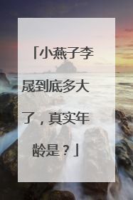 小燕子李晟到底多大了，真实年龄是？