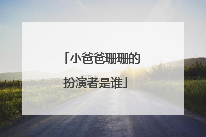 小爸爸珊珊的扮演者是谁