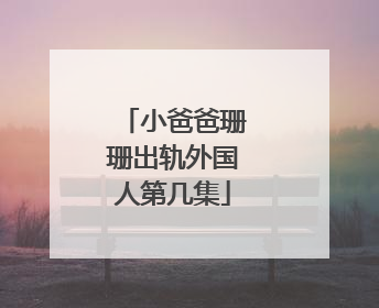 小爸爸珊珊出轨外国人第几集