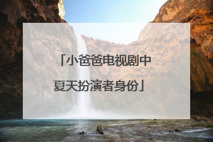 小爸爸电视剧中夏天扮演者身份
