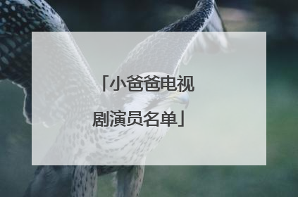 小爸爸电视剧演员名单