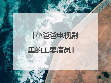 小爸爸电视剧里的主要演员