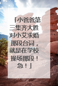小爸爸第三集齐大胜对小艾求婚那段台词,就是在学校操场那段!急!