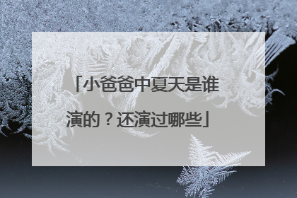 小爸爸中夏天是谁演的?还演过哪些