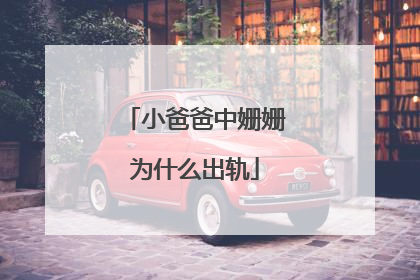 小爸爸中姗姗为什么出轨