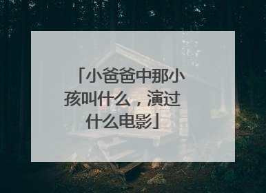 小爸爸中那小孩叫什么，演过什么电影