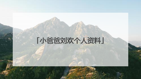 小爸爸刘欢个人资料