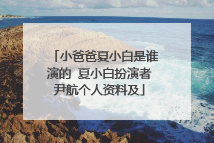 小爸爸夏小白是谁演的 夏小白扮演者尹航个人资料及