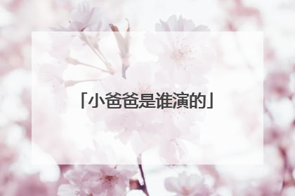 小爸爸是谁演的