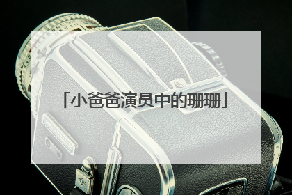 小爸爸演员中的珊珊