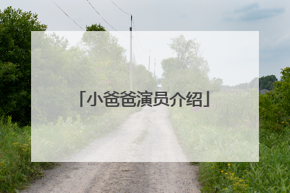 小爸爸演员介绍