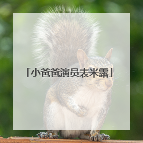 小爸爸演员表米露