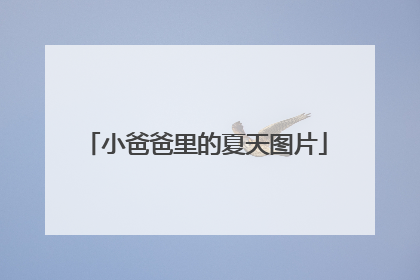 小爸爸里的夏天图片