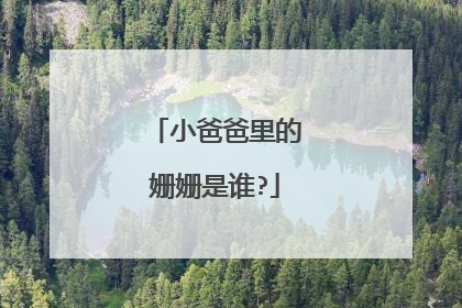 小爸爸里的姗姗是谁?