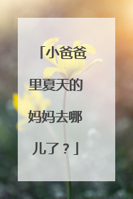 小爸爸里夏天的妈妈去哪儿了?
