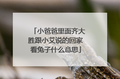 小爸爸里面齐大胜跟小艾说的回家看兔子什么意思