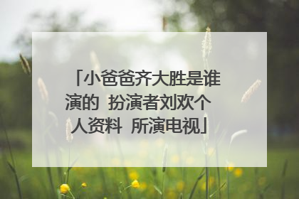 小爸爸齐大胜是谁演的 扮演者刘欢个人资料 所演电视